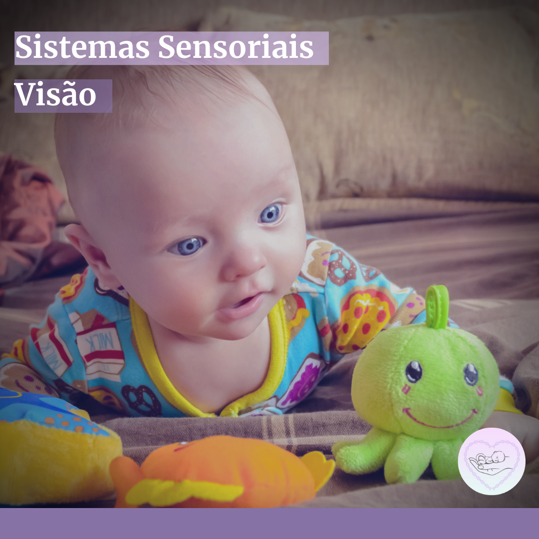 Você está visualizando atualmente O sentido sensorial da visão e sua inter- relação com o desenvolvimento infantil: uma medida de proteção à saúde ocular de prematuros